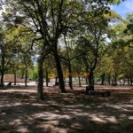 parc municipal