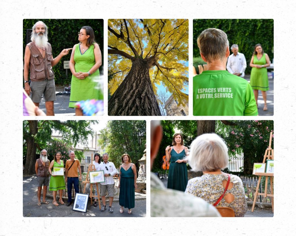 Cérémonie de labelisation Arbre Remarquable