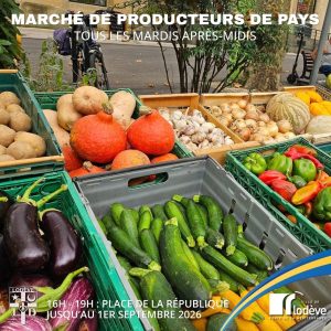 Marché de producteurs du pays