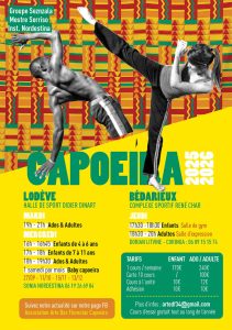 Affiche capoeira